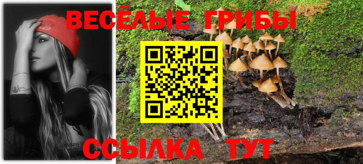 Ишим  где купить   Вход с VPN  Псилоцибиновые грибы GOLDEN TEACHER  Галлюциногенные грибы Cubensis 